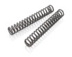 Picture of Fork spring set