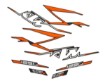 Picture of Carbon graphics kit