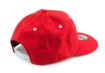 Picture of Team Flat Cap
