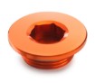 Picture of Ignition cover plug