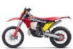 Picture of GasGas EC 300 GP 2025