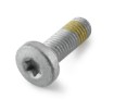 Picture of Hex screw with internal Torx with collar M10x30