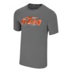 Picture of Logo T-shirt - Grey