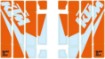 Picture of Radiator protection grille sticker kit