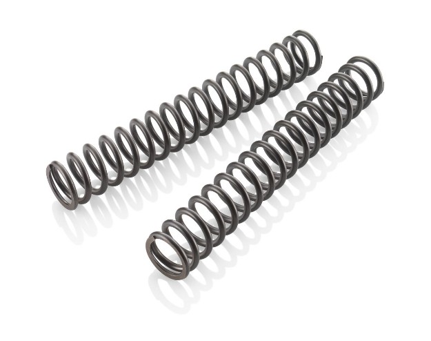 Picture of Fork spring set