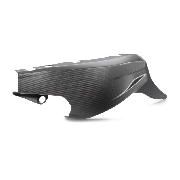 Picture of Swingarm protection