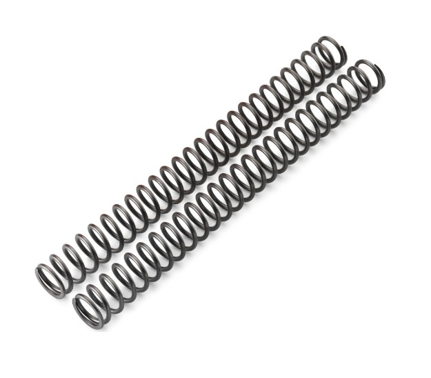 Picture of FORK SPRING SET