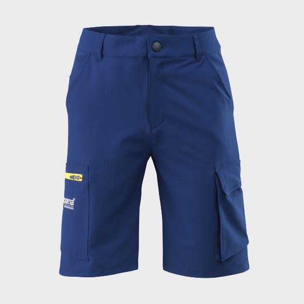 Picture of Team Shorts