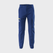 Picture of Team Pants