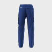 Picture of Team Pants