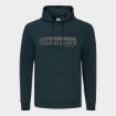 Picture of Origin Hoodie