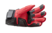 Picture of Vamos Gloves