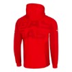 Picture of Team Zip Hoodie