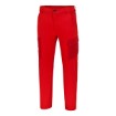 Picture of Team Pants