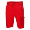 Picture of Team Shorts