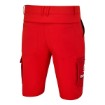 Picture of Team Shorts