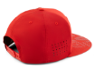 Picture of Team Flat Cap